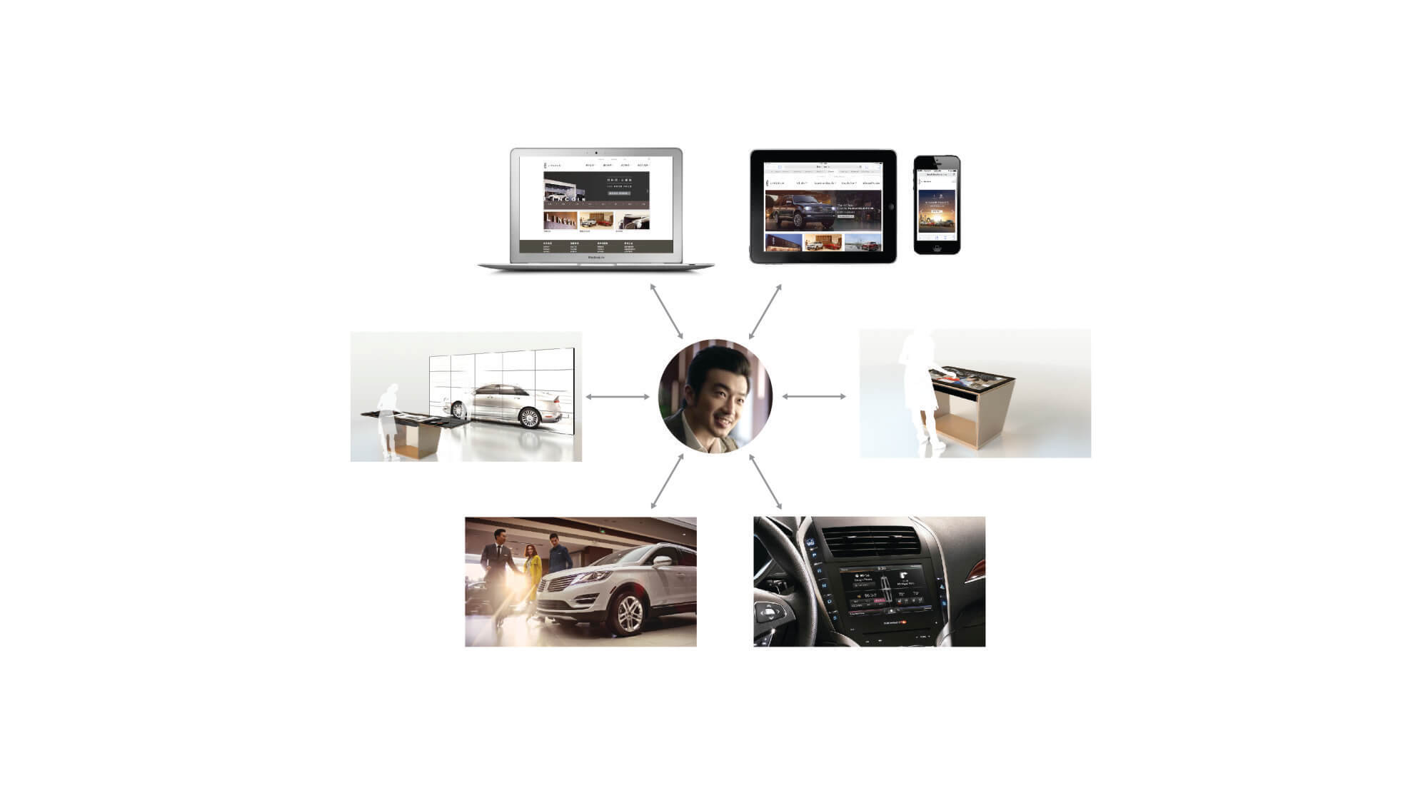 The Lincoln Ecosystem