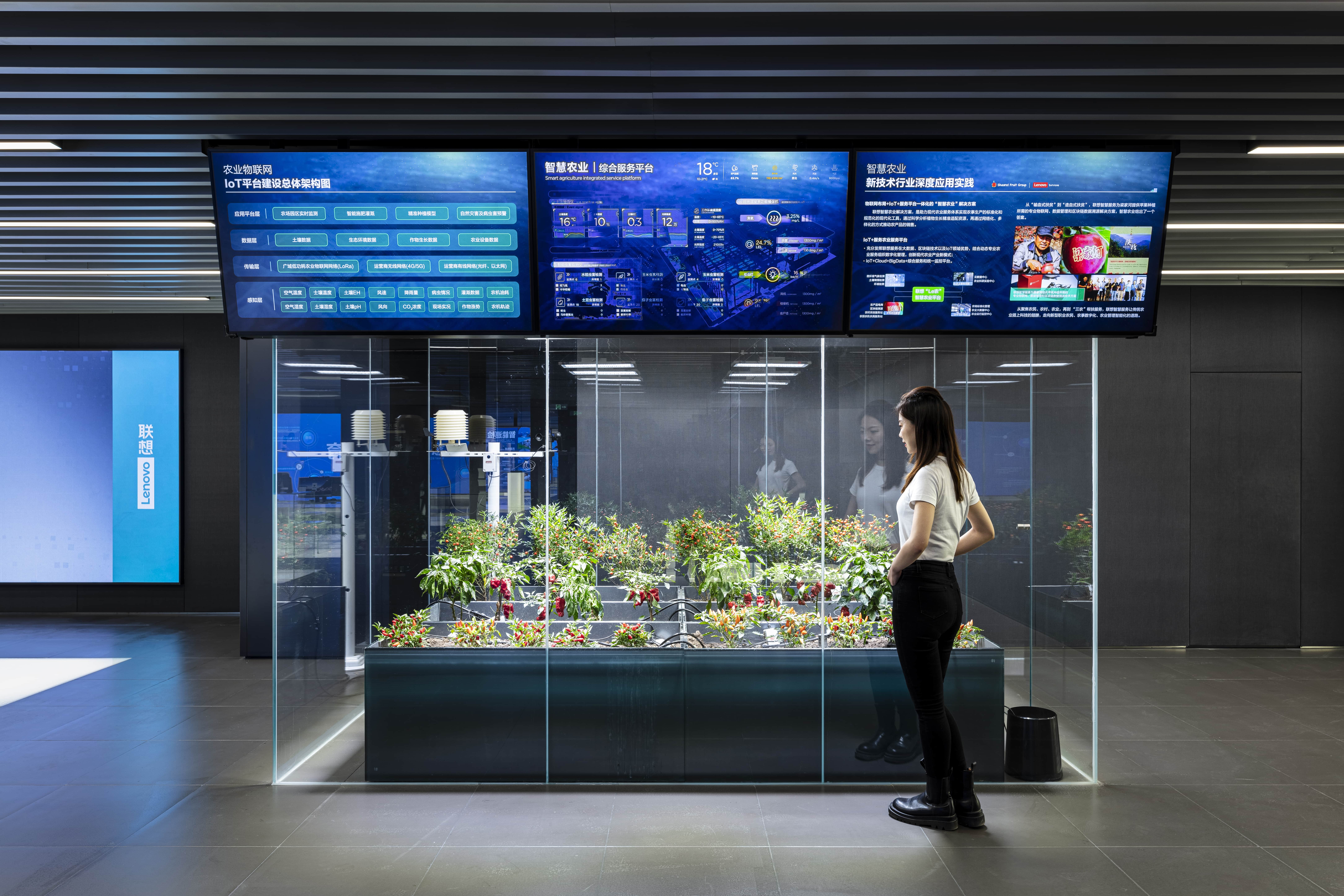 Lenovo Future Center